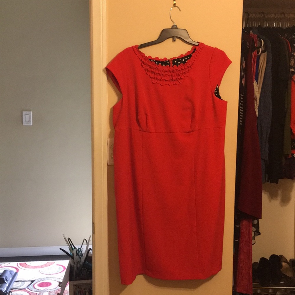 Fit and Flare Dress